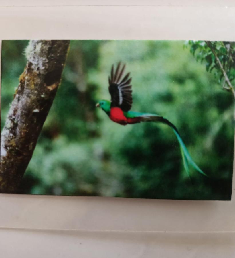 Quetzal Lägenhet Playa del Carmen Exteriör bild